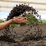 Duurzame Koffies