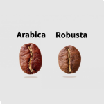 Arabica vs Robusta koffiebonen